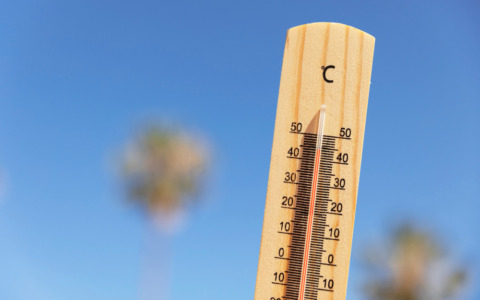 Bambini e caldo, i consigli per l’alimentazione estiva