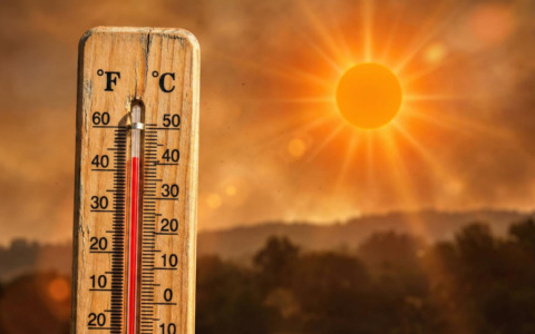 Allerta caldo: codice rosso a Firenze per venerdì 31 luglio