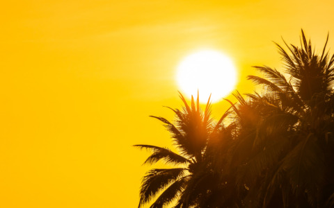 Firenze in allerta per ondata di calore: temperature fino a 36 gradi