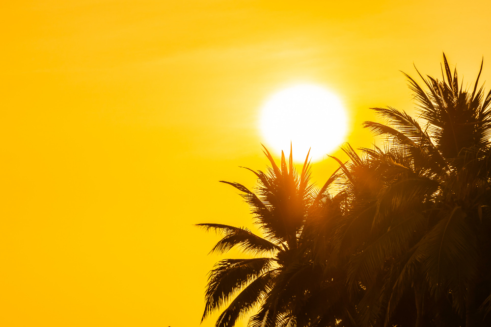Firenze in allerta per ondata di calore: temperature fino a 36 gradi