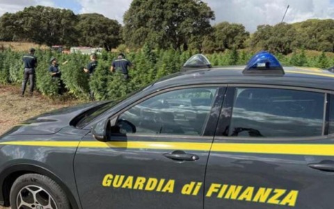 Controlli record all’aeroporto di Firenze: sequestrati 800mila euro e teste di alligatore