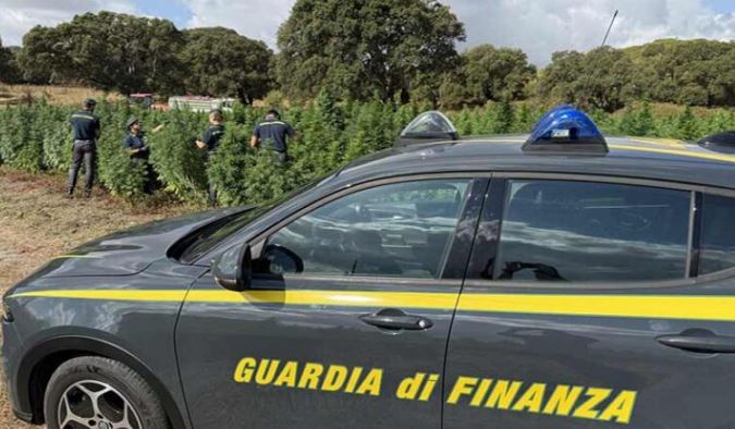 Controlli record all’aeroporto di Firenze: sequestrati 800mila euro e teste di alligatore