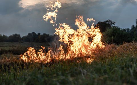 Incendio divampa vicino all’Autostrada A1, fumi visibili da lontano