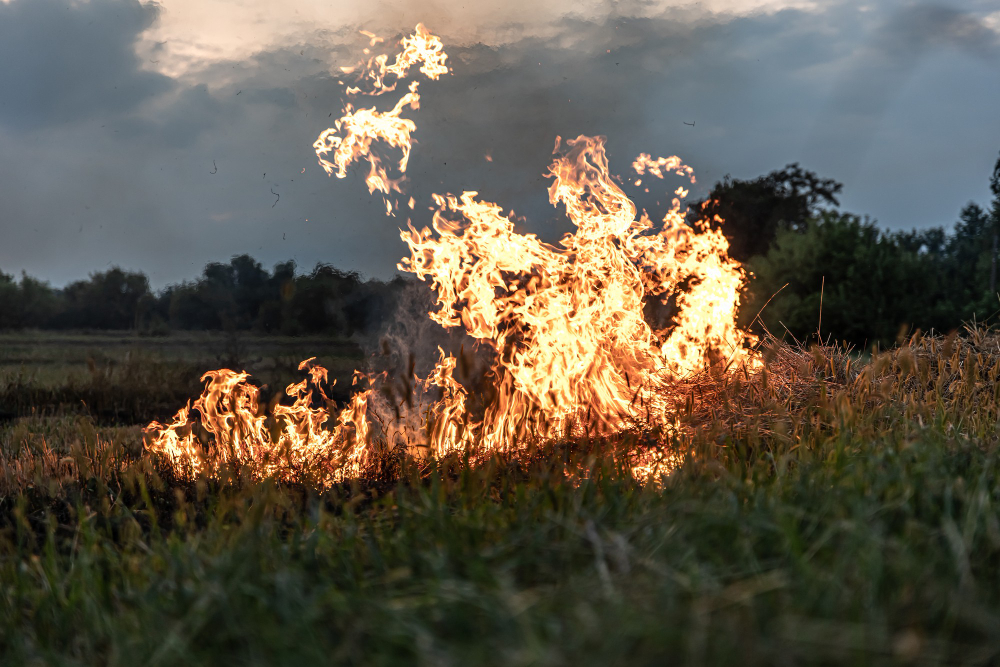 Incendio divampa vicino all’Autostrada A1, fumi visibili da lontano