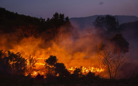 Incendio di vegetazione lungo l’Arno, in azione elicottero antincendio