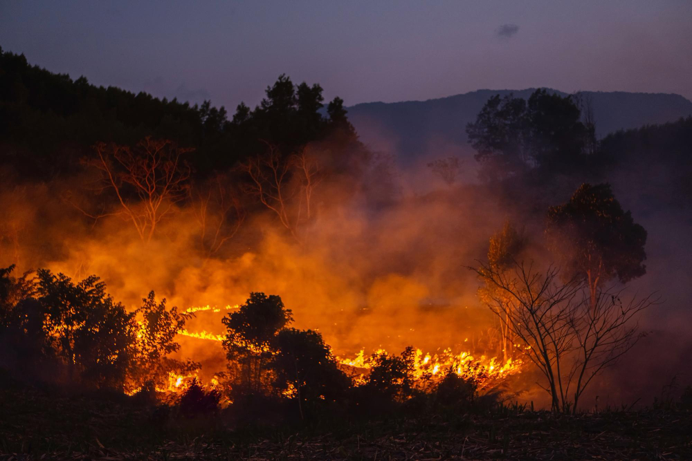 Incendio di vegetazione lungo l’Arno, in azione elicottero antincendio