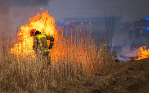 Incendio in ditta di pelletteria: intervento notturno dei vigili del fuoco