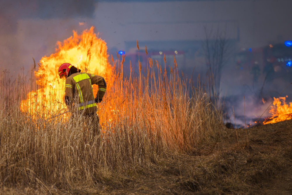Incendio nei boschi di Pian Grande, evacuate due abitazioni