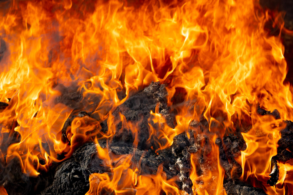 Incendio boschivo a Tra Poggio Monti, in azione i vigili del fuoco
