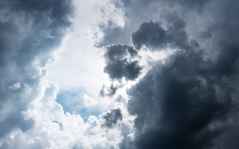 Ogni anno persi due ettari e mezzo di verde