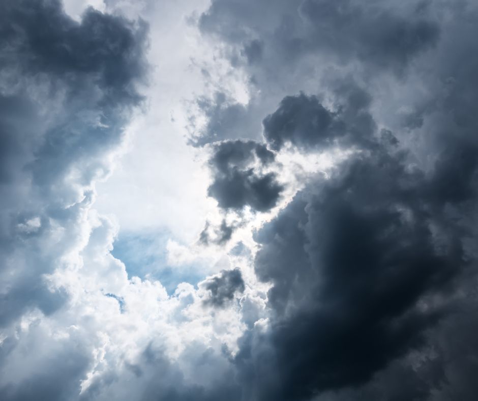 Ogni anno persi due ettari e mezzo di verde