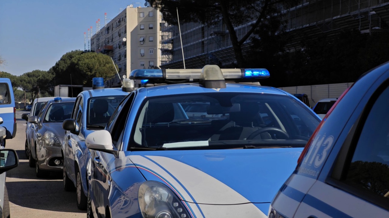 Scoperte 135 capre allevate come animali da compagnia