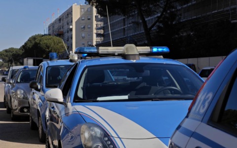 Scoperte 135 capre allevate come animali da compagnia