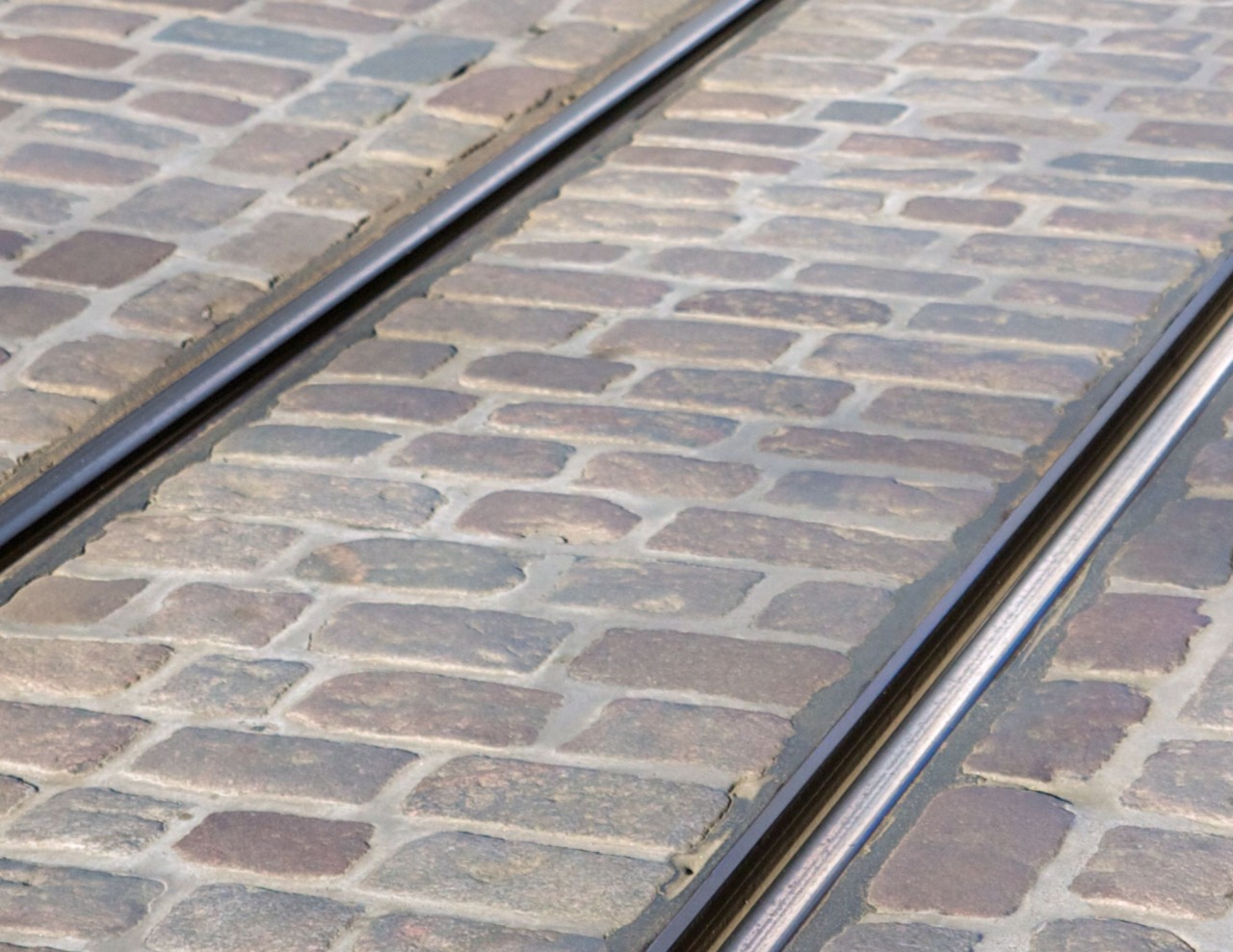 Commercianti contro i ritardi della tramvia: chiesti danni al Comune